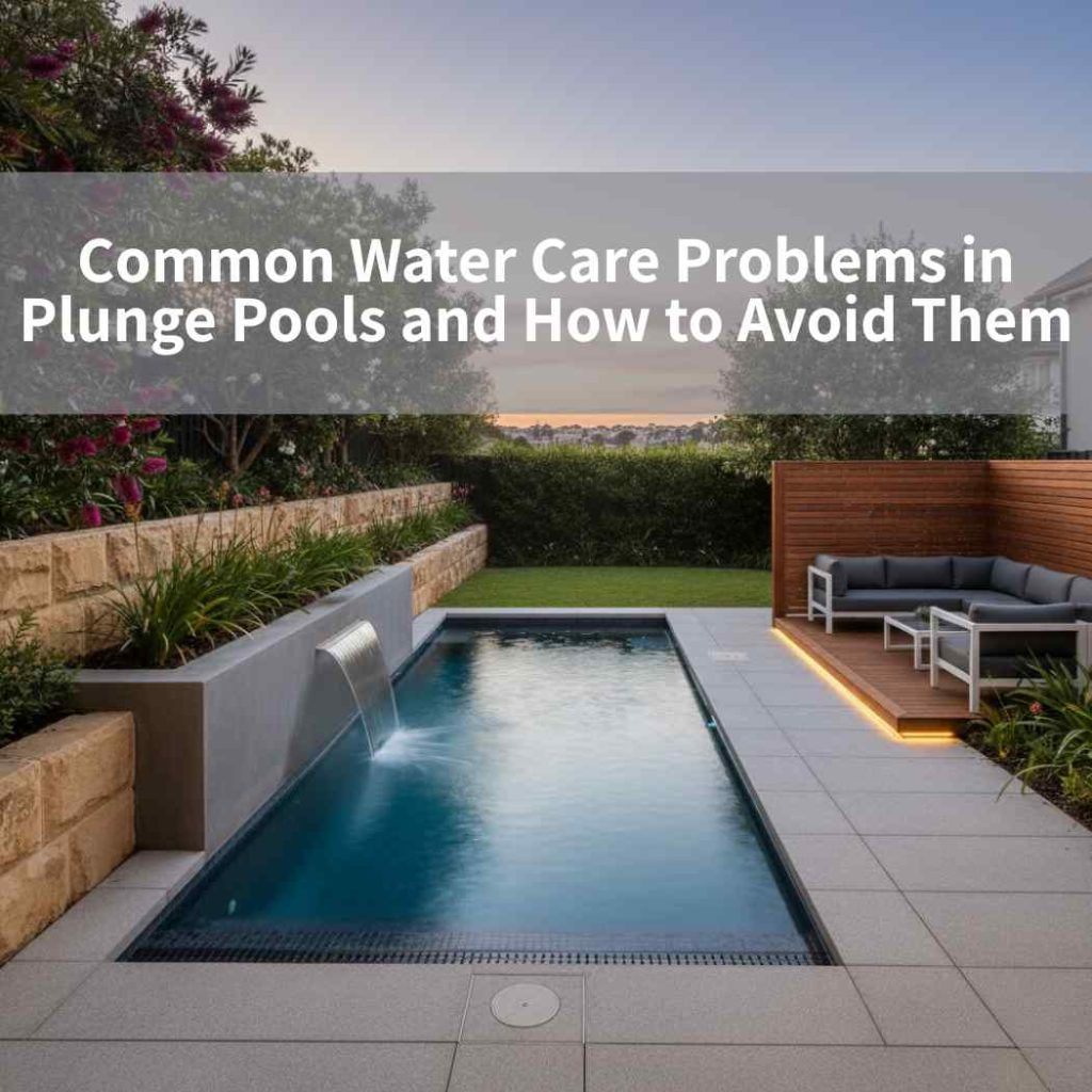 Common Water Care Problems in Plunge Pools and How to Avoid Them