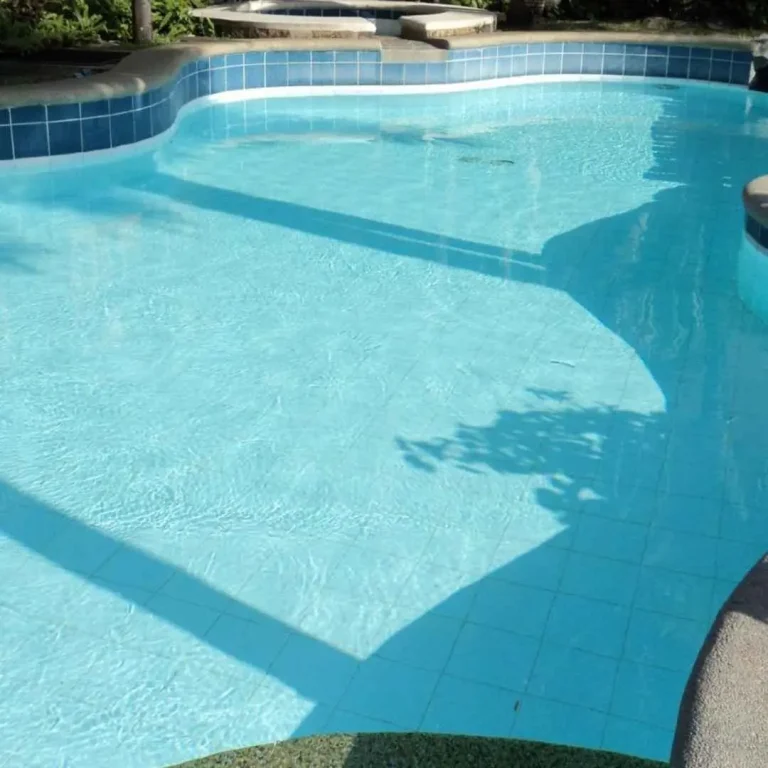 Custom concrete pool with shallow lounging ledge and curved tiled edges